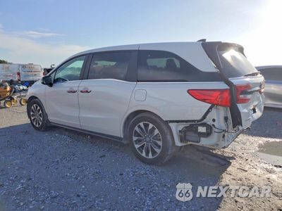 Drugie zdjęcie samochodu z przodu: 2024 HONDA ODYSSEY EXL VIN:5FNRL6H65RB059828 - miniatura
