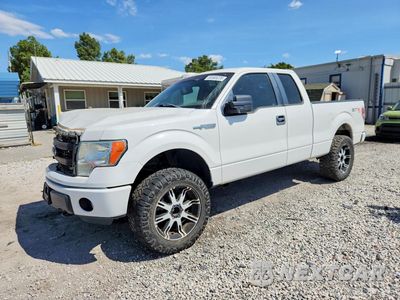 2013 FORD F150 SUPER CAB 1FTFX1EF0DFD41233 - główne zdjęcie licytacji z USA - miniatura