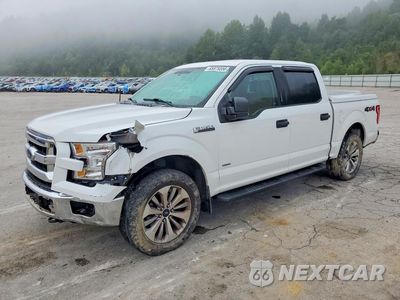 2017 FORD F150 SUPERCREW 1FTEW1EP9HFB23725 - główne zdjęcie licytacji z USA - miniatura