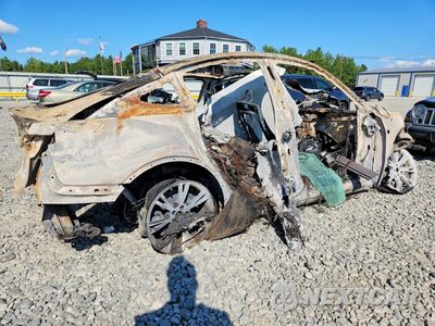 Trzecie zdjęcie samochodu z tyłu: 2023 TESLA MODEL Y VIN:7SAYGDEE3PA195212 - miniatura