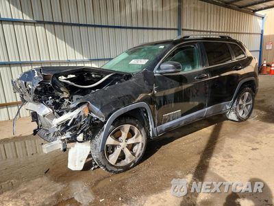 2019 JEEP CHEROKEE LIMITED 1C4PJMDX9KD309925 - główne zdjęcie licytacji z USA - miniatura
