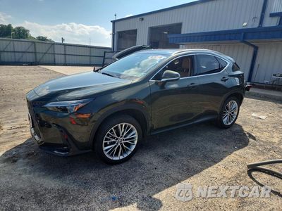 2025 LEXUS NX 350H LUXURY 2T2HKCEZ4SC056114 - główne zdjęcie licytacji z USA - miniatura