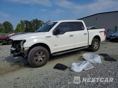 2016 FORD F150 1FTEW1EP3GFB74653 - główne zdjęcie licytacji z USA - miniatura