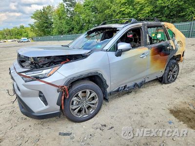 2024 TOYOTA RAV4 XLE PREMIUM 2T3B6RFV9RW079899 - główne zdjęcie licytacji z USA - miniatura