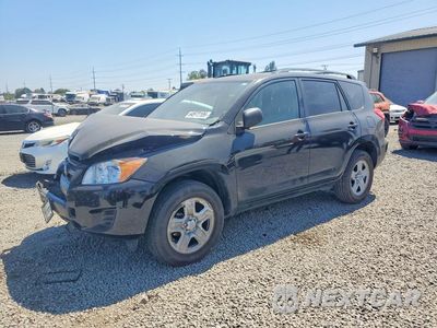 2011 TOYOTA RAV4 BASE 2T3BF4DVXBW137594 - główne zdjęcie licytacji z USA - miniatura