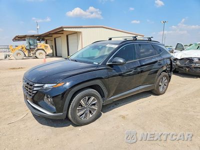 2022 HYUNDAI TUCSON BLUE KM8JBCA18NU053306 - główne zdjęcie licytacji z USA - miniatura