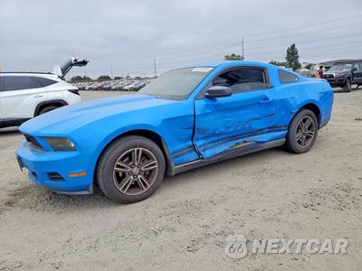 2010 FORD MUSTANG 1ZVBP8AN0A5107855 - główne zdjęcie licytacji z USA - miniatura