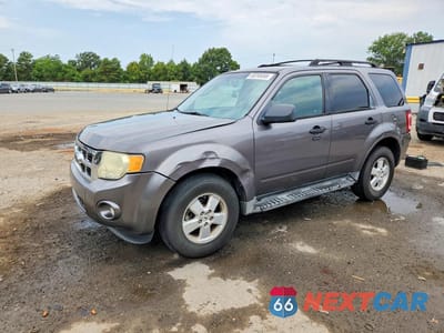 2009 FORD ESCAPE XLT 1FMCU03G89KB29613 - główne zdjęcie licytacji z USA - miniatura