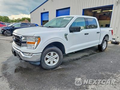 2021 FORD F150 SUPERCREW 1FTFW1E52MFA71545 - główne zdjęcie licytacji z USA - miniatura