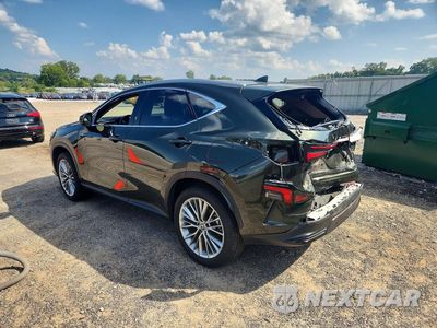Drugie zdjęcie samochodu z przodu: 2025 LEXUS NX 350H LUXURY VIN:2T2HKCEZ4SC056114 - miniatura