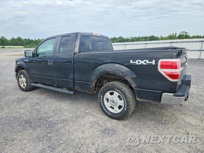 Drugie zdjęcie samochodu z przodu: 2013 FORD F150 SUPER CAB VIN:1FTEX1EM6DFD50741 - miniatura