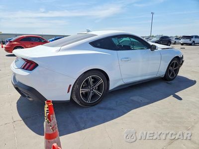 Trzecie zdjęcie samochodu z tyłu: 2024 FORD MUSTANG VIN:1FA6P8TH7R5111852 - miniatura