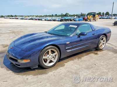 1999 CHEVROLET CORVETTE 1G1YY22G6X5125527 - główne zdjęcie licytacji z USA - miniatura
