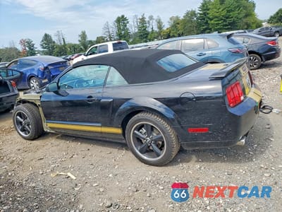 Drugie zdjęcie samochodu z przodu: 2007 FORD MUSTANG GT VIN:1ZVHT85H675335801 - miniatura
