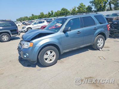 2011 FORD ESCAPE XLT 1FMCU0D78BKB45623 - główne zdjęcie licytacji z USA - miniatura