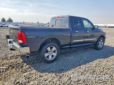 Trzecie zdjęcie samochodu z tyłu: 2009 DODGE RAM 1500 VIN:1D3HB18T99S767338 - miniatura