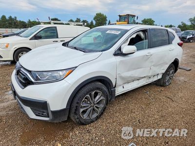 2022 HONDA CR-V EXL 7FARW2H89NE049979 - główne zdjęcie licytacji z USA - miniatura
