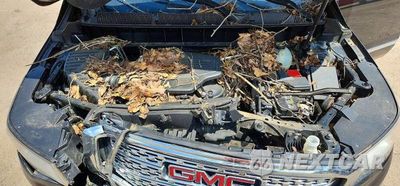 Zdjęcie 12 z 13 samochodu: 2017 GMC ACADIA DENALI VIN:1GKKNXLS3HZ119835 - miniatura