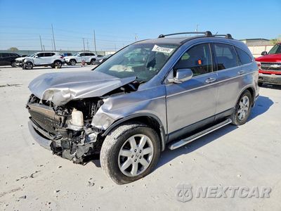 2008 HONDA CR-V EXL JHLRE48798C078324 - główne zdjęcie licytacji z USA - miniatura