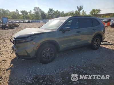 2026 HONDA CR-V TRAILSPORT 7FARS6H6XTE154772 - główne zdjęcie licytacji z USA - miniatura