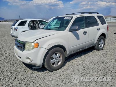 2009 FORD ESCAPE XLT 1FMCU03G39KA52147 - główne zdjęcie licytacji z USA - miniatura