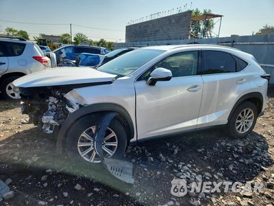 2021 LEXUS NX 300 BASE JTJDARDZ9M5025352 - główne zdjęcie licytacji z USA - miniatura