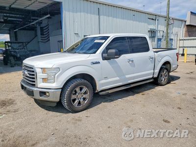 2015 FORD F150 SUPERCREW 1FTEW1CP3FFA48066 - główne zdjęcie licytacji z USA - miniatura