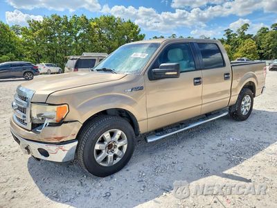 2013 FORD F150 SUPERCREW 1FTFW1CFXDFD55663 - główne zdjęcie licytacji z USA - miniatura