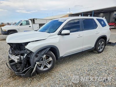 2025 HONDA PILOT EXL 5FNYG1H41SB061048 - główne zdjęcie licytacji z USA - miniatura