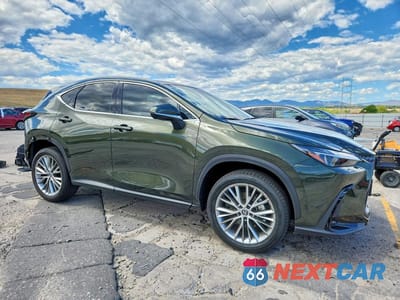 Czwarte zdjęcie samochodu z boku: 2025 LEXUS NX 350 LUXURY VIN:2T2HGCEZ2SC077352 - miniatura
