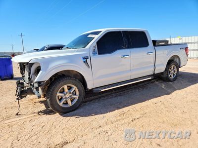 2024 FORD F150 XLT 1FTFW3L80RKD74881 - główne zdjęcie licytacji z USA - miniatura