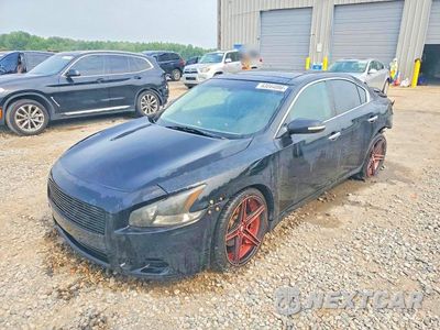 2011 NISSAN MAXIMA 3.5 S 1N4AA5AP8BC815659 - główne zdjęcie licytacji z USA - miniatura