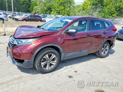 2019 HONDA CR-V LX 2HKRW6H31KH233625 - główne zdjęcie licytacji z USA - miniatura