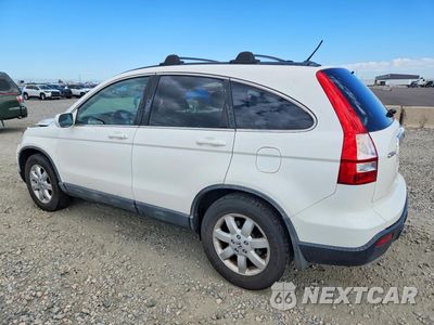 Drugie zdjęcie samochodu z przodu: 2009 HONDA CR-V EXL VIN:5J6RE487X9L043557 - miniatura