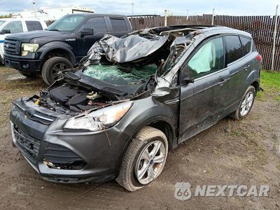 2014 FORD ESCAPE SE 1FMCU9G91EUD37959 - główne zdjęcie licytacji z USA - miniatura
