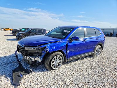 2024 HONDA CR-V EXL 2HKRS4H78RH450604 - główne zdjęcie licytacji z USA - miniatura