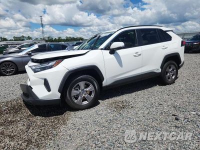 2024 TOYOTA RAV4 HYBRID XLE JTMRWRFV9RD260335 - główne zdjęcie licytacji z USA - miniatura