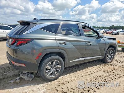 Trzecie zdjęcie samochodu z tyłu: 2024 HYUNDAI TUCSON BLUE VIN:KM8JBCD17RU224127 - miniatura