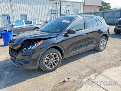 2022 FORD ESCAPE SE 1FMCU0G69NUA69793 - główne zdjęcie licytacji z USA - miniatura