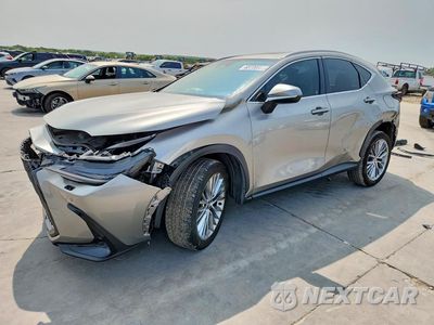 2025 LEXUS NX 350 LUXURY 2T2HGCEZ3SC070751 - główne zdjęcie licytacji z USA - miniatura