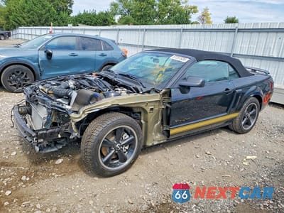 2007 FORD MUSTANG GT 1ZVHT85H675335801 - główne zdjęcie licytacji z USA - miniatura