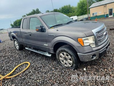 Czwarte zdjęcie samochodu z boku: 2013 FORD F150 SUPER CAB VIN:1FTFX1ET9DFD96334 - miniatura
