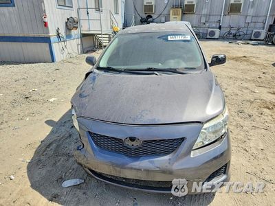 Piąte zdjęcie samochodu w środku: 2010 TOYOTA COROLLA LE VIN:1NXBU4EE9AZ311165 - miniatura