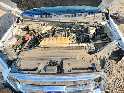 Zdjęcie 11 z 12 samochodu: 2016 FORD F150 SUPERCREW VIN:1FTFW1EF2GKE50971 - miniatura