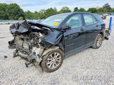 2019 CHEVROLET EQUINOX LS 2GNAXSEV9K6193489 - główne zdjęcie licytacji z USA - miniatura
