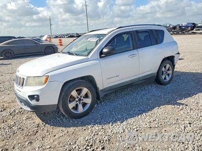 2011 JEEP COMPASS SPORT 1J4NF1FB7BD244785 - główne zdjęcie licytacji z USA - miniatura