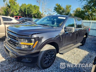 2024 FORD F150 XLT 1FTEW3KP0RKF03612 - główne zdjęcie licytacji z USA - miniatura