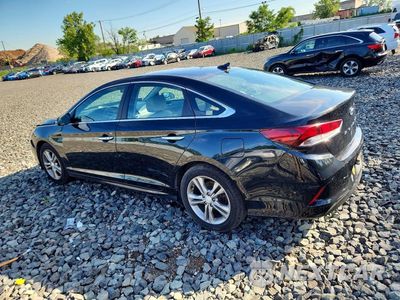 Drugie zdjęcie samochodu z przodu: 2019 HYUNDAI SONATA SEL VIN:5NPE34AF0KH767781 - miniatura