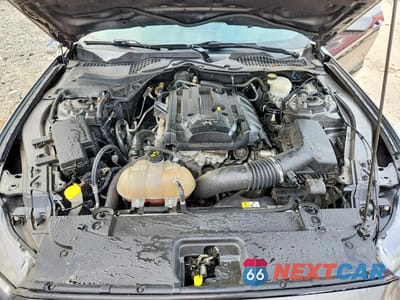 Zdjęcie 11 z 12 samochodu: 2017 FORD MUSTANG VIN:1FA6P8TH1H5256996 - miniatura