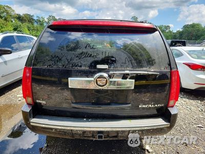 Zdjęcie 6 z 13 samochodu: 2009 CADILLAC ESCALADE LUXURY VIN:1GYFK232X9R212534 - miniatura